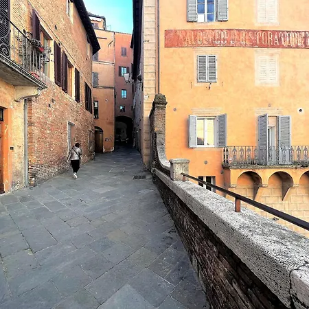 Apartment Susy- Nearby The Cathedral Siena
